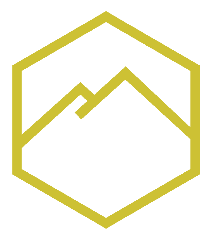 Black-Forest-Sky logo
